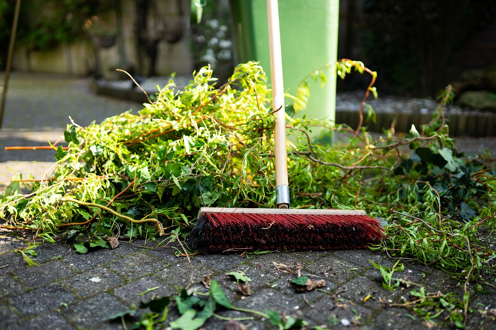 Un râteau et des feuilles mortes, symbolisant l'entretien du jardin en location par les locataires. 