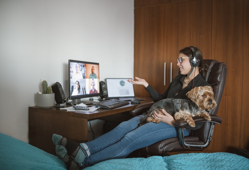 Une jeune fille travaille à la maison, dans une location de logements meublés. Elle est en vidéo-conférence, devant son bureau, les pieds sur le lit et son chien dans ses bras. 
